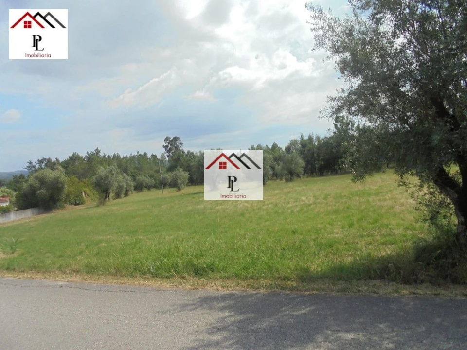 Terreno para Venda em Sebal e Belide Foto 6