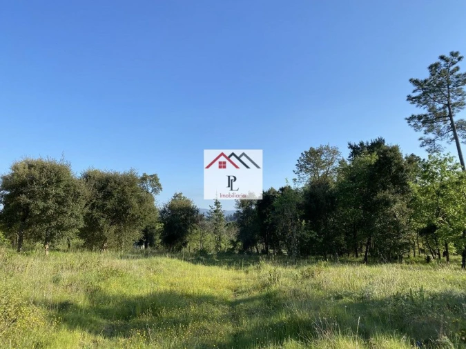 Terreno para Venda em Condeixa-A-Velha e Condeixa-A-Nova Foto 4