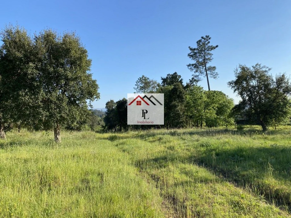 Terreno para Venda em Condeixa-A-Velha e Condeixa-A-Nova Foto 8
