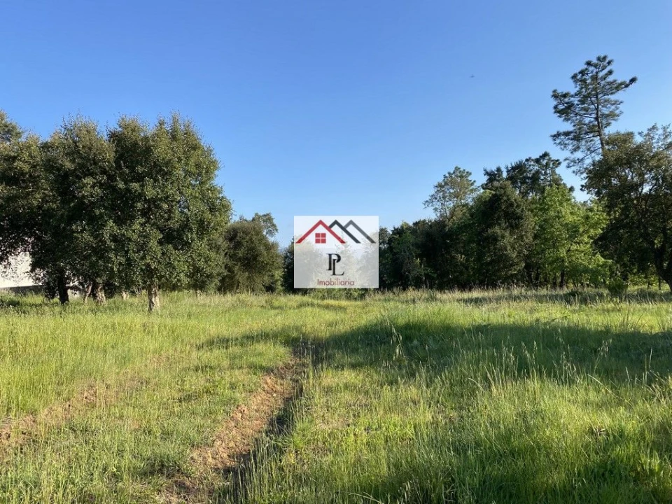 Terreno para Venda em Condeixa-A-Velha e Condeixa-A-Nova Foto 3