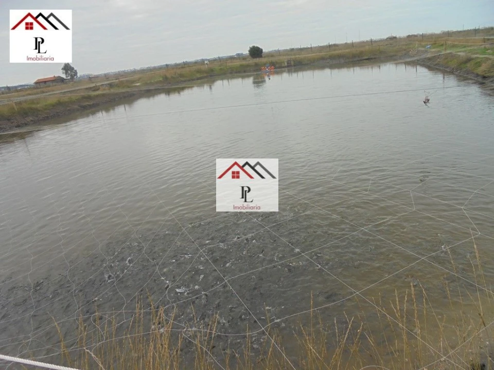 Loja para Venda em Buarcos Foto 2