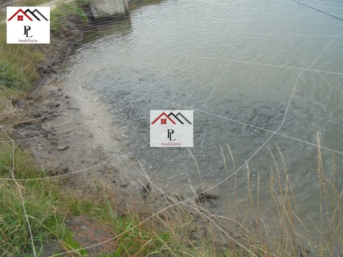 Loja para Venda em Buarcos Foto 7