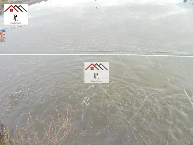 Loja para Venda em Buarcos Foto 18