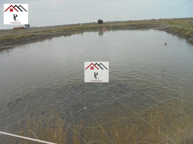 Loja para Venda em Buarcos Foto 5