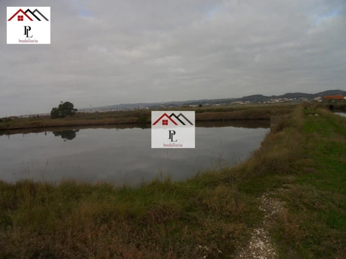 Loja para Venda em Buarcos Foto 8