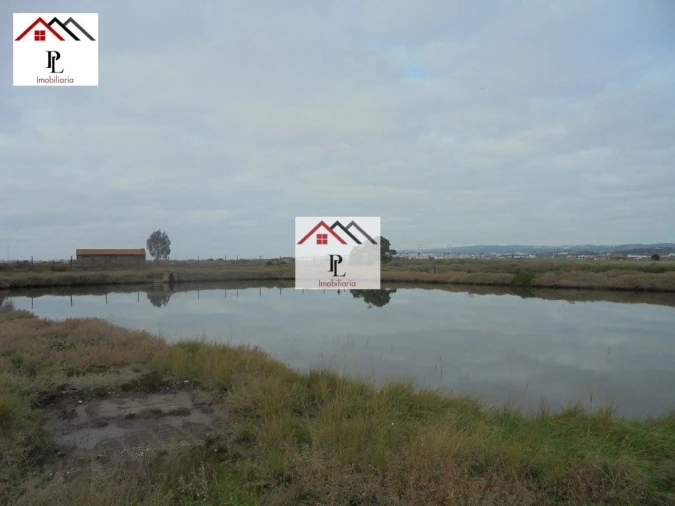 Loja para Venda em Buarcos Foto 9