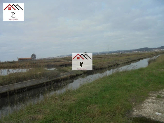 Loja para Venda em Buarcos Foto 13