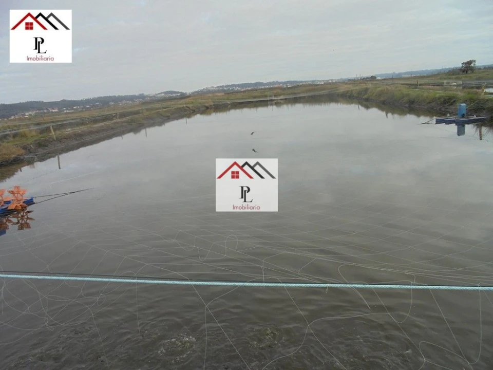 Loja para Venda em Buarcos Foto 19