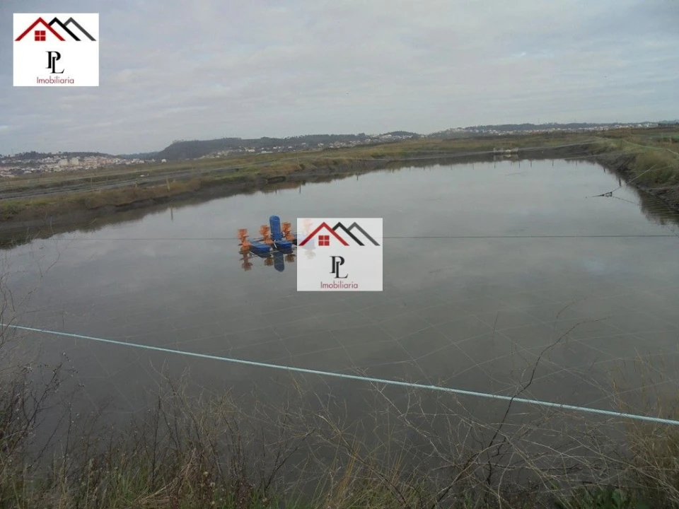 Loja para Venda em Buarcos Foto 16