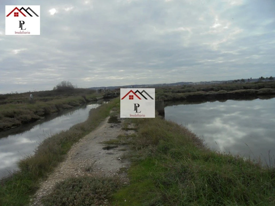 Loja para Venda em Buarcos Foto 4