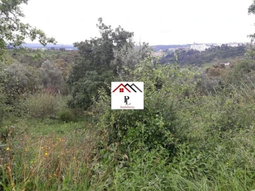 Terreno para Venda em Sé Nova, Santa Cruz, Almedina e São Bartolomeu