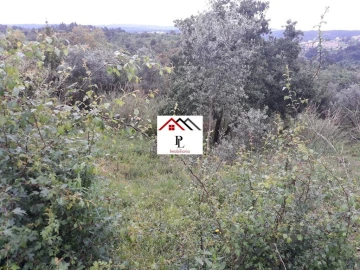 Terreno para Venda em Sé Nova, Santa Cruz, Almedina e São Bartolomeu