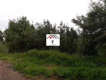 Terreno para Venda em Sé Nova, Santa Cruz, Almedina e São Bartolomeu
