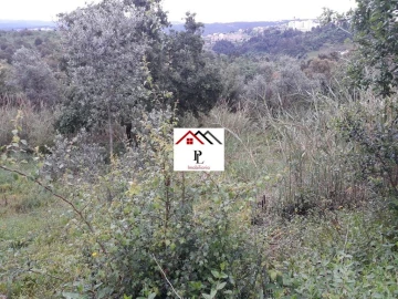 Terreno para Venda em Sé Nova, Santa Cruz, Almedina e São Bartolomeu