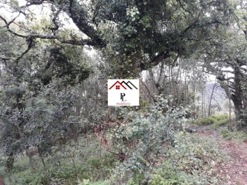 Terreno para Venda em Sé Nova, Santa Cruz, Almedina e São Bartolomeu