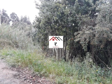 Terreno para Venda em Sé Nova, Santa Cruz, Almedina e São Bartolomeu