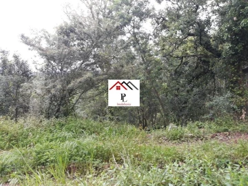 Terreno para Venda em Sé Nova, Santa Cruz, Almedina e São Bartolomeu