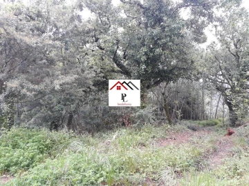 Terreno para Venda em Sé Nova, Santa Cruz, Almedina e São Bartolomeu