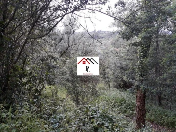 Terreno para Venda em Sé Nova, Santa Cruz, Almedina e São Bartolomeu
