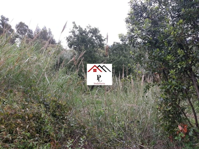 Terreno para Venda em Sé Nova, Santa Cruz, Almedina e São Bartolomeu Foto 3