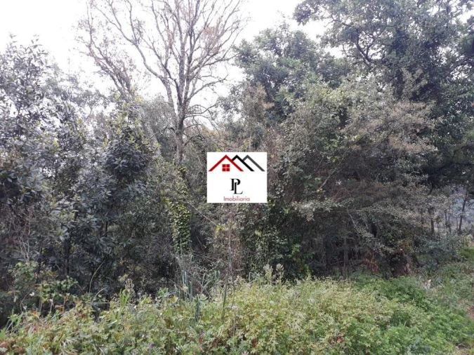 Terreno para Venda em Sé Nova, Santa Cruz, Almedina e São Bartolomeu Foto 13