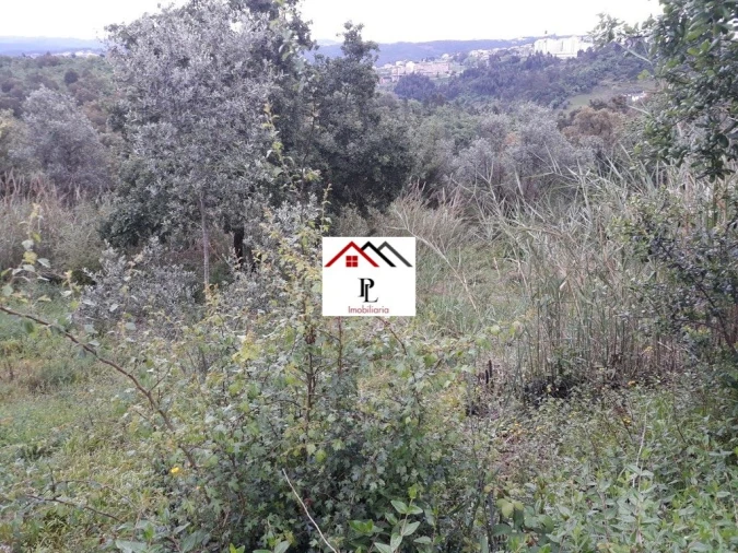 Terreno para Venda em Sé Nova, Santa Cruz, Almedina e São Bartolomeu Foto 15