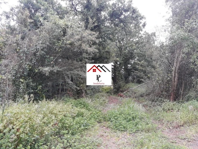 Terreno para Venda em Sé Nova, Santa Cruz, Almedina e São Bartolomeu Foto 12