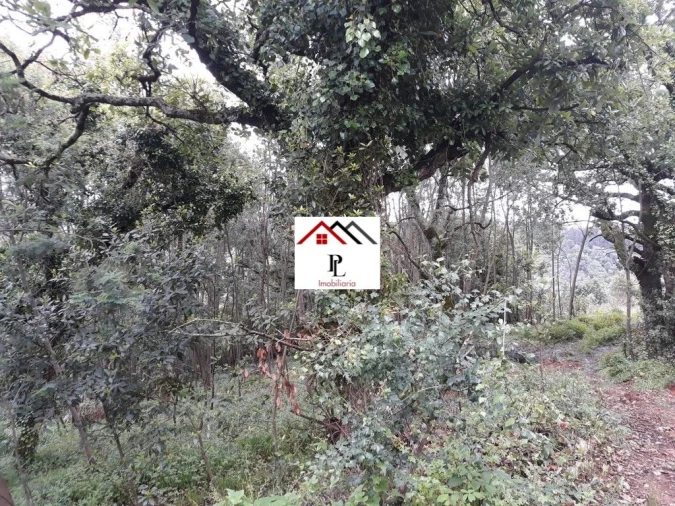 Terreno para Venda em Sé Nova, Santa Cruz, Almedina e São Bartolomeu Foto 6