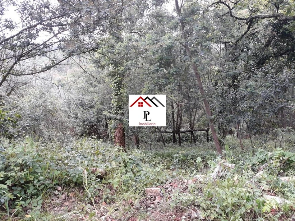 Terreno para Venda em Sé Nova, Santa Cruz, Almedina e São Bartolomeu Foto 7
