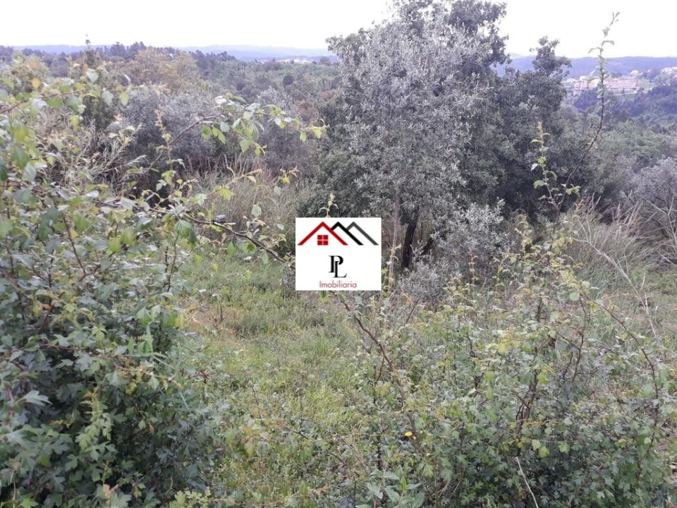 Terreno para Venda em Sé Nova, Santa Cruz, Almedina e São Bartolomeu Foto 14