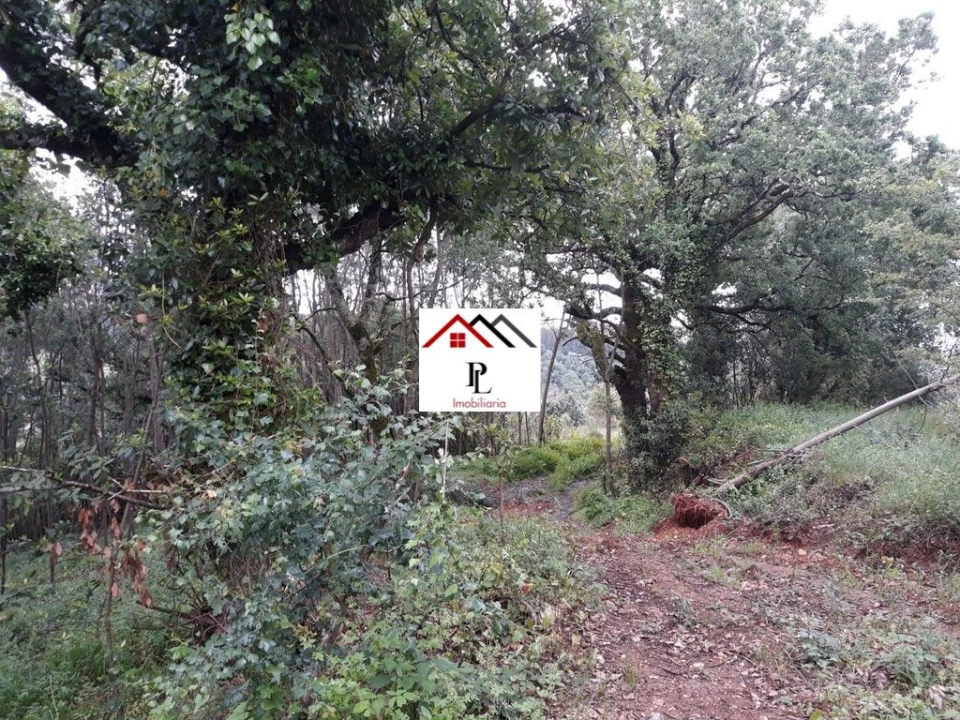 Terreno para Venda em Sé Nova, Santa Cruz, Almedina e São Bartolomeu Foto 5