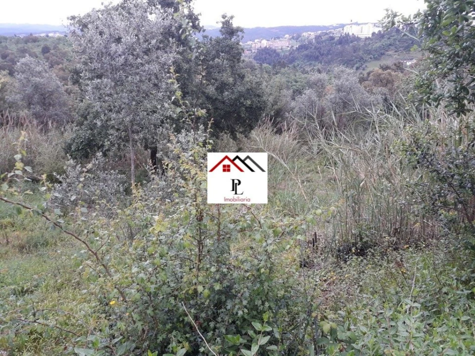 Terreno para Venda em Sé Nova, Santa Cruz, Almedina e São Bartolomeu Foto 15