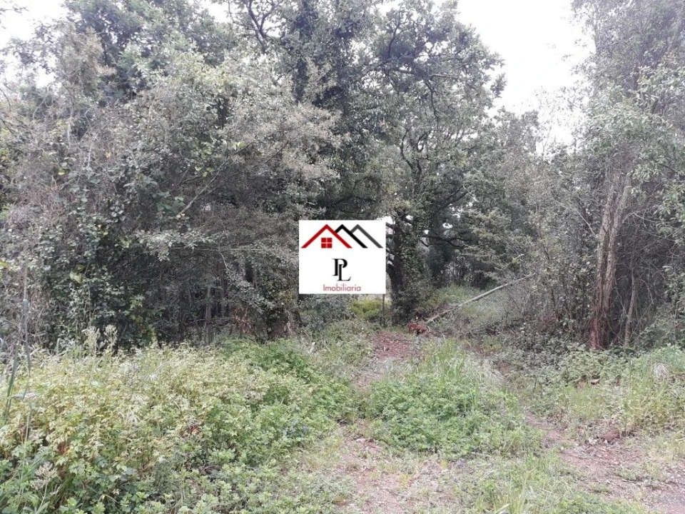 Terreno para Venda em Sé Nova, Santa Cruz, Almedina e São Bartolomeu Foto 12