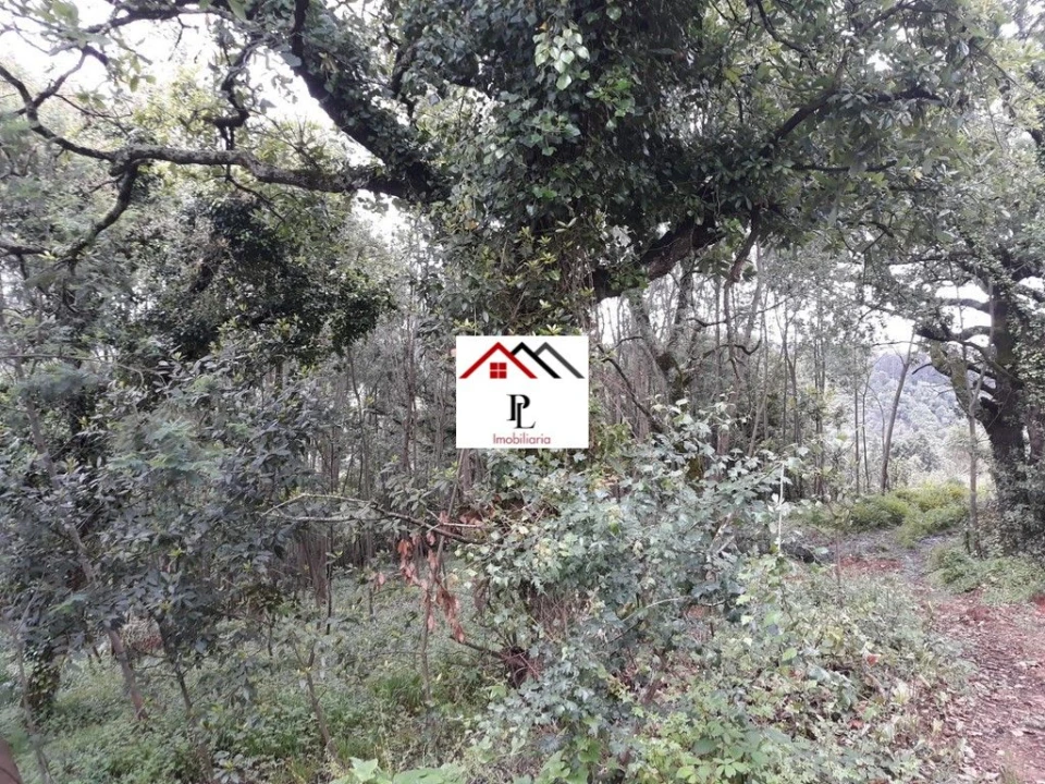 Terreno para Venda em Sé Nova, Santa Cruz, Almedina e São Bartolomeu Foto 6