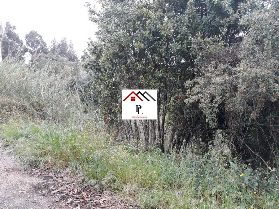 Terreno para Venda em Sé Nova, Santa Cruz, Almedina e São Bartolomeu Foto 4