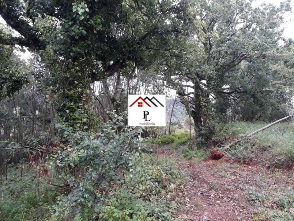 Terreno para Venda em Sé Nova, Santa Cruz, Almedina e São Bartolomeu Foto 2