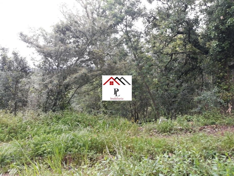 Terreno para Venda em Sé Nova, Santa Cruz, Almedina e São Bartolomeu Foto 9