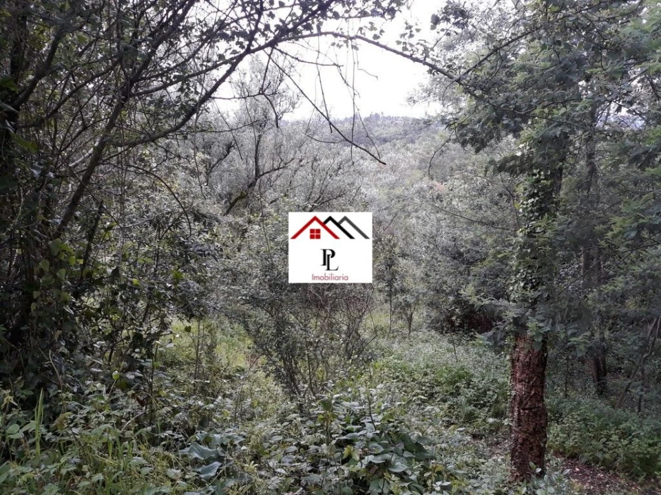 Terreno para Venda em Sé Nova, Santa Cruz, Almedina e São Bartolomeu Foto 8