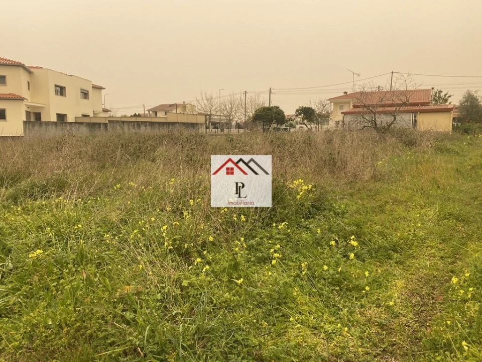 Terreno para Venda em São Martinho do Bispo e Ribeira de Frades Foto 5