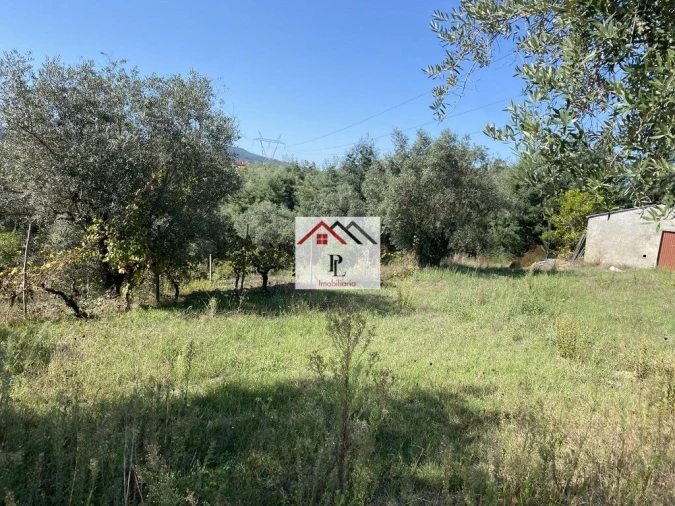 Terreno para Venda em Poiares (Santo Andre) Foto 7