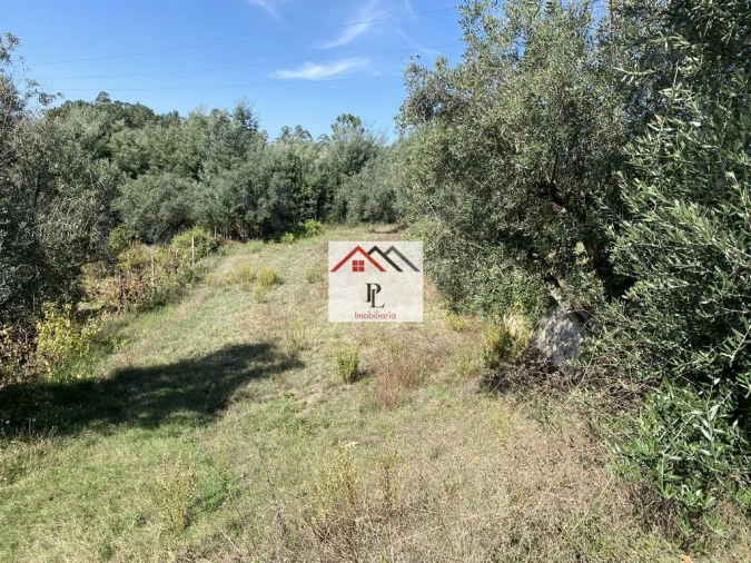 Terreno para Venda em Poiares (Santo Andre) Foto 4
