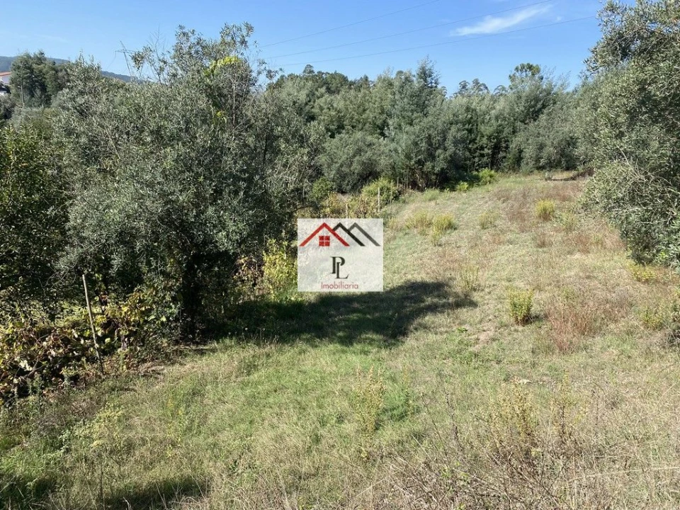 Terreno para Venda em Poiares (Santo Andre) Foto 3
