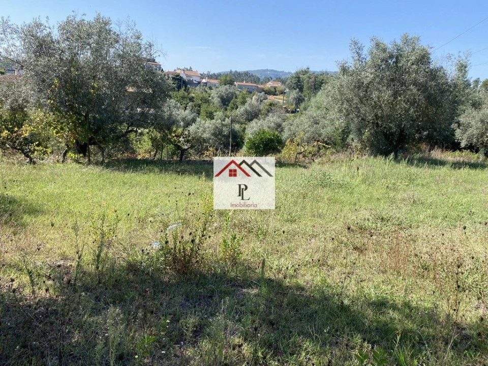 Terreno para Venda em Poiares (Santo Andre) Foto 8