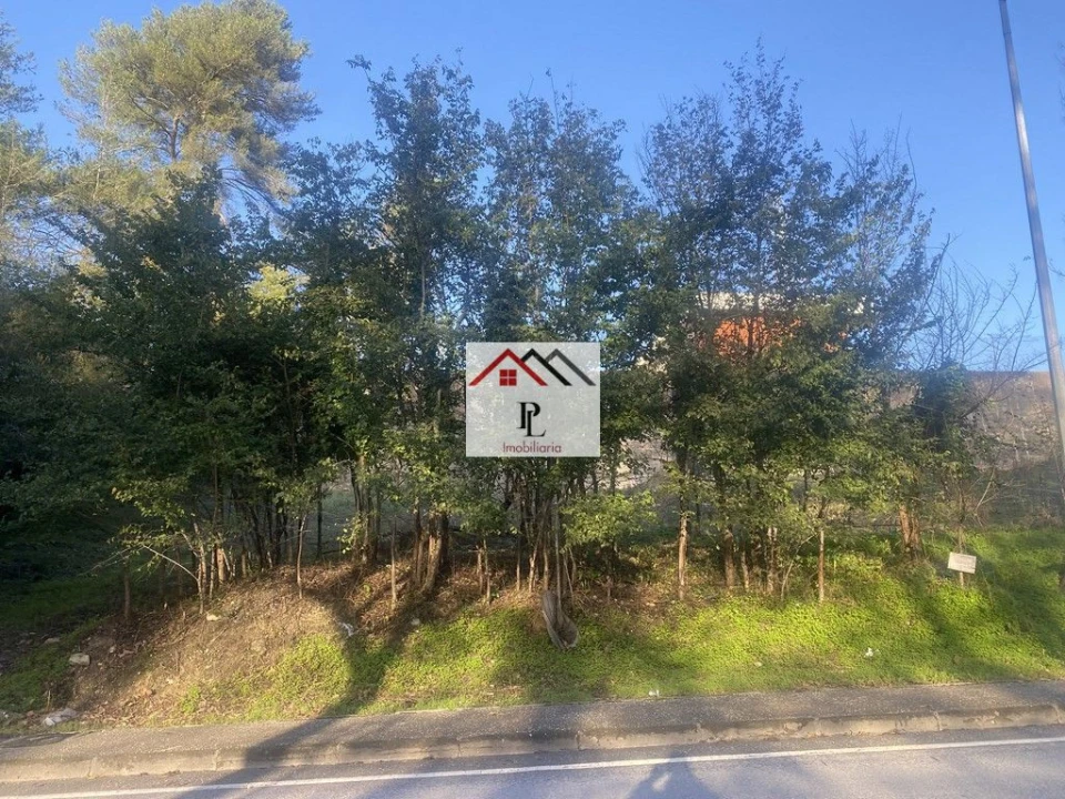 Terreno para Venda em São João do Campo Foto 5