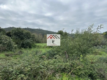Terreno para Venda em Arganil