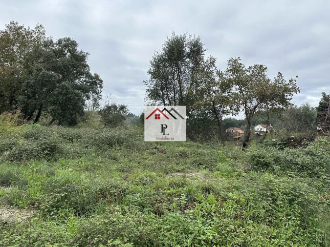 Terreno para Venda em Arganil Foto 3