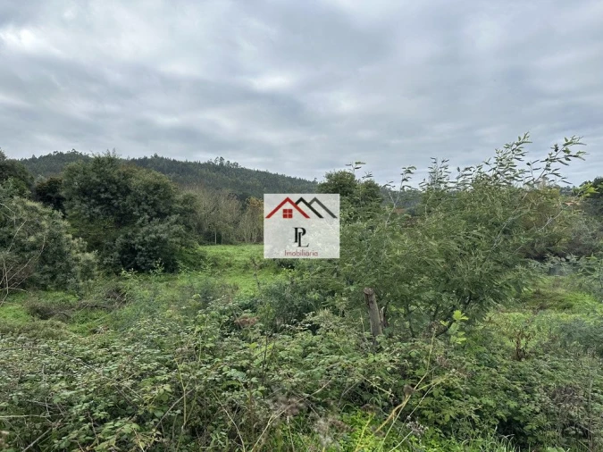 Terreno para Venda em Arganil