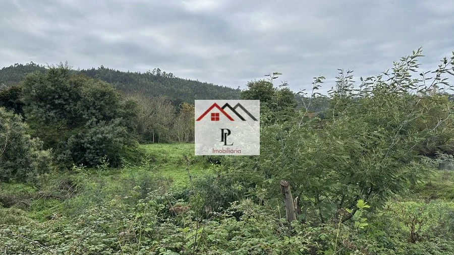 Terreno para Venda em Arganil