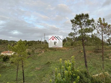 Terreno para Venda em Assafarge e Antanhol