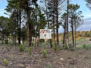 Terreno para Venda em Assafarge e Antanhol